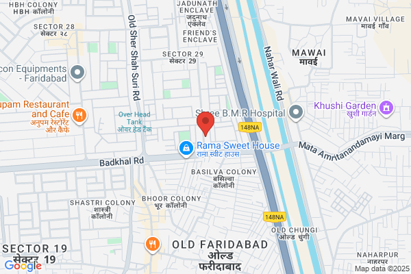 Organic SEO India