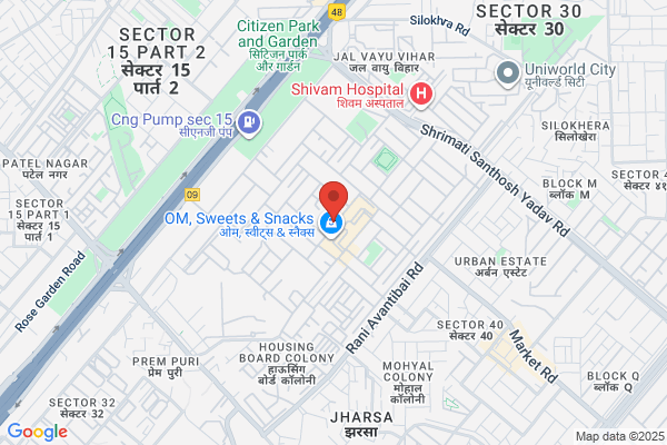 Rishi School