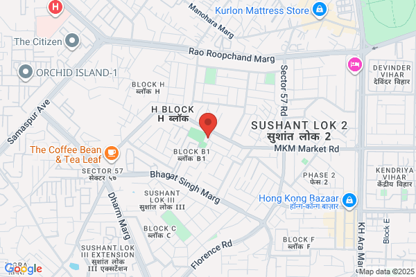 B L Gupta & Co