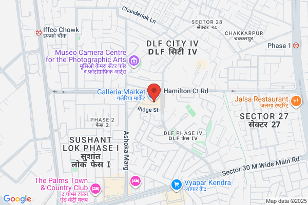 S Dua Properties