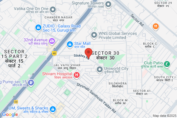 Globe Security Services