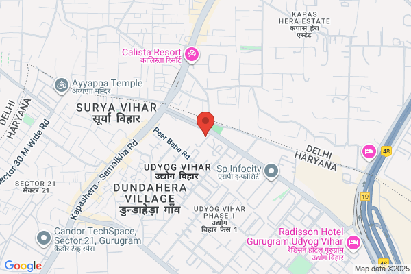 WordPress Web Development Company Gurgaon