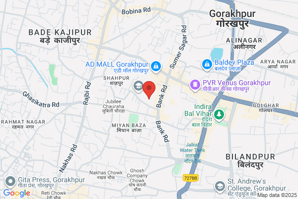 International Delhi Public School