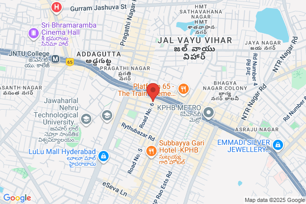 best astrologer in hyderabad
