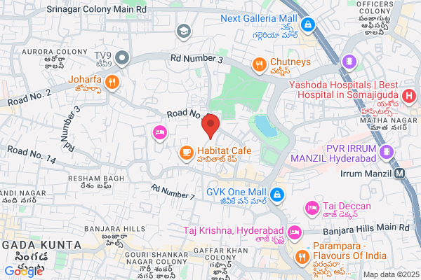 S. M. S. PHARMACEUTICAL LTD.