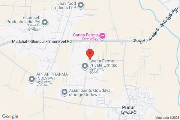 Pankaj Polymers Limited