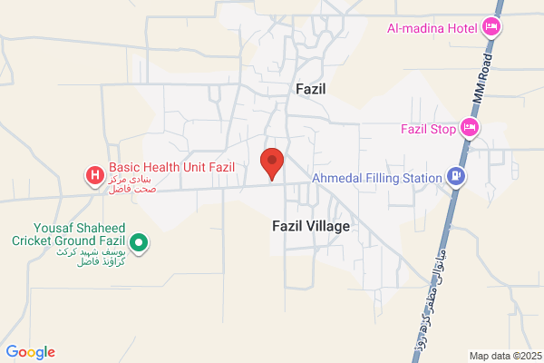 Mohd Fazil Khan & Co