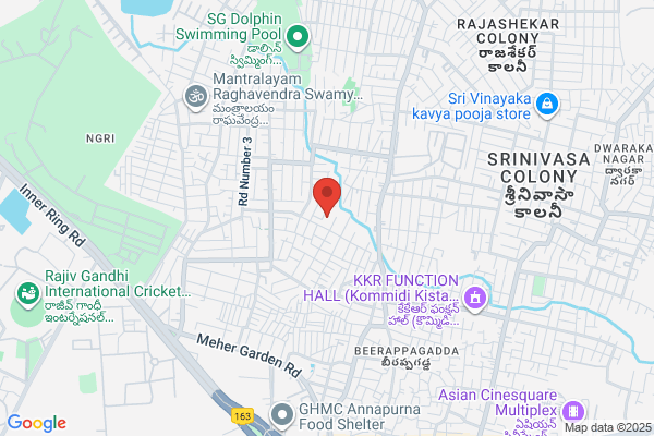 Padma Nandi Travels