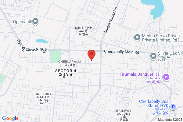 Cygnus Micro Systems P Ltd