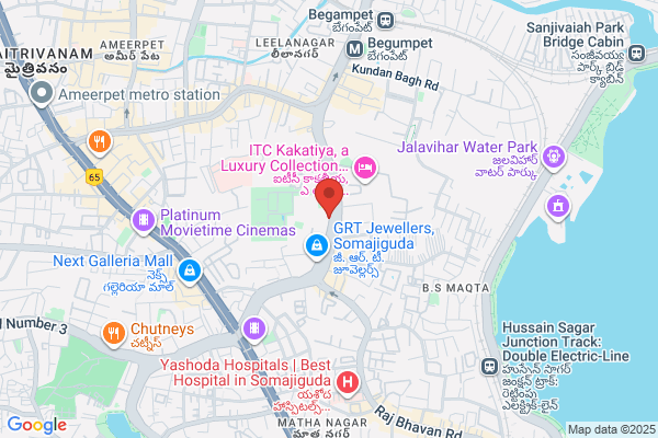 Prasad & Company(project Works) Ltd