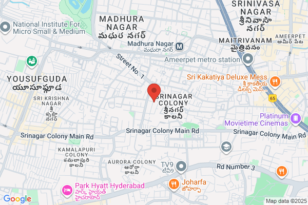 Vijay Sai Consultancy