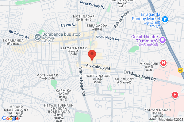 Chinmaya Associates