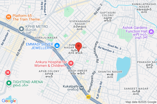 Sri Vasavi Enterprises
