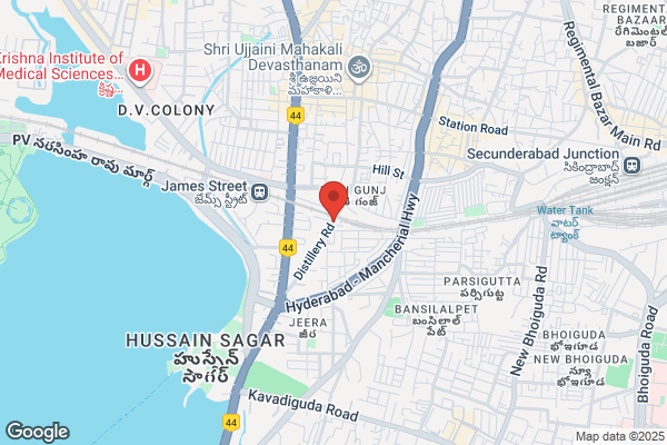 Andhra Ispat Udyog