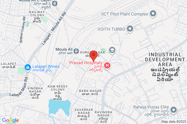 Dhariwal Industries Ltd