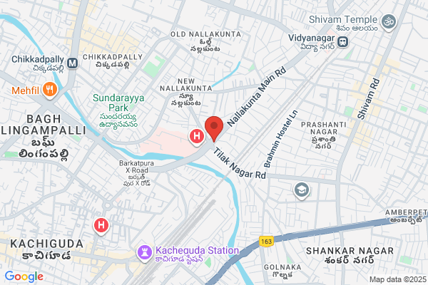 Sree Vidhya Nursery