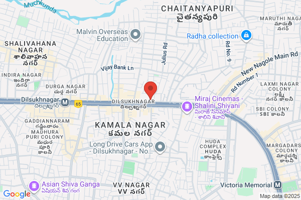 Pinnacle Blooms Network - #1 Speech, Occupational, ABA, Autism Therapy Centres Network | GACHIBOWLI, HYDERABAD
