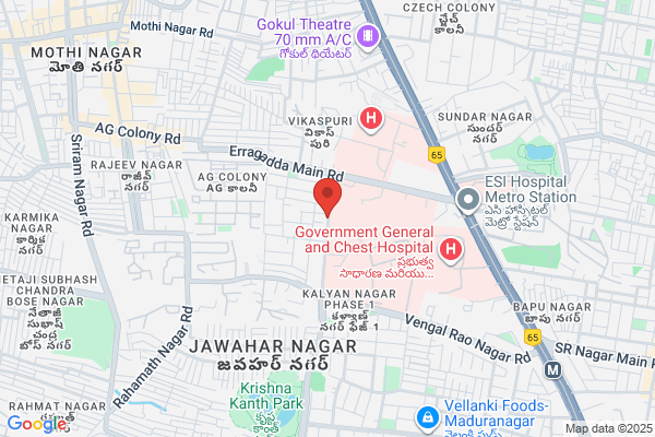 Goel Freight Carriers