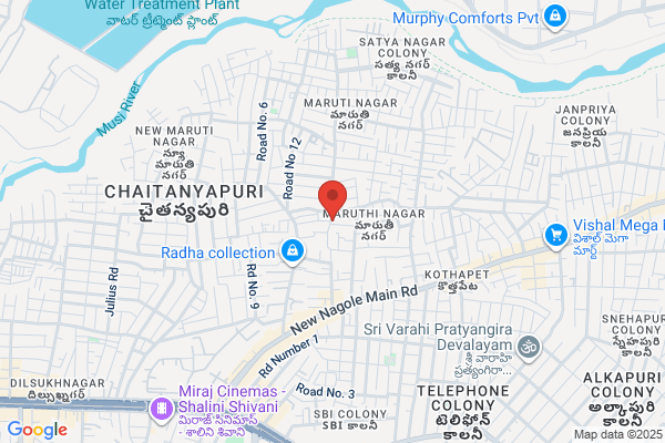 Rukmini Travels Pvt Ltd