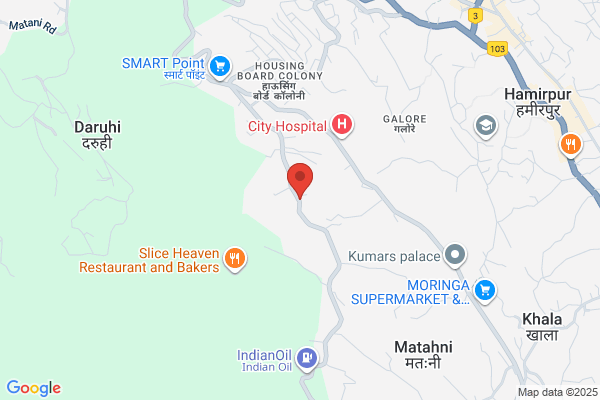 THE NILGIRI SEED DEPOT