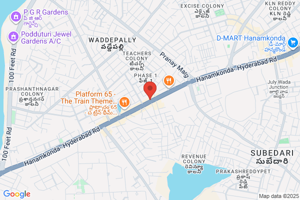 Pinnacle Blooms Network - #1 Speech, ABA, Occupational, Autism Therapy Centres Network | WARANGAL, TELANGANA