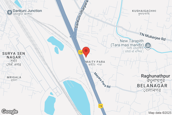 Petro Diesel Instr Co