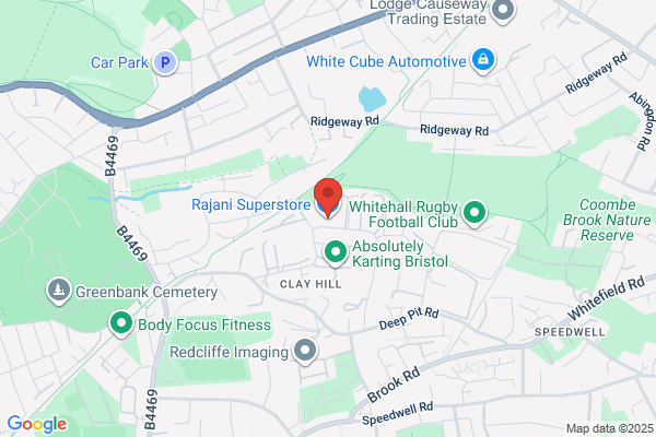 RAJANI EXTRACTIONS LTD