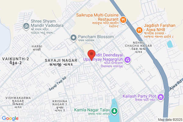 Narayani Fin Services & consult