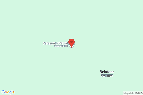 Parasnath Dalmill