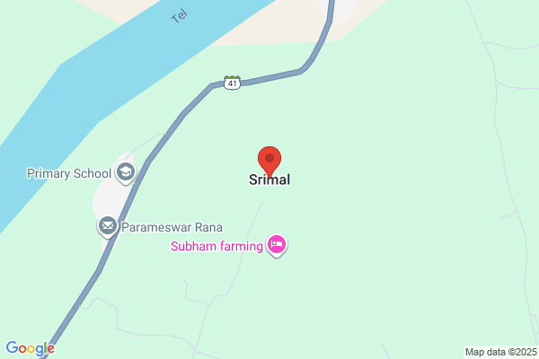 SHRIMAL, MR. KRISHAN KUMAR