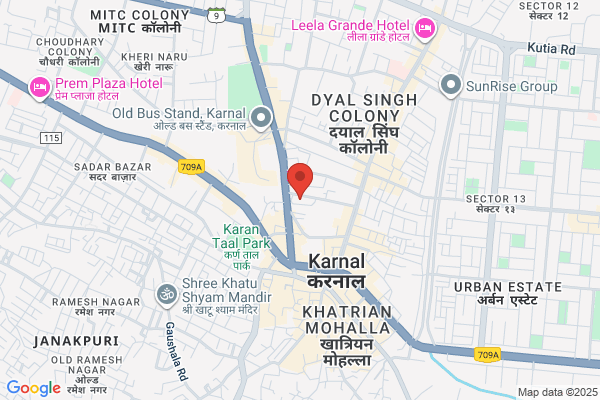 HSIM India Federation