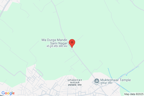 Saini Ayur Dawa Khana