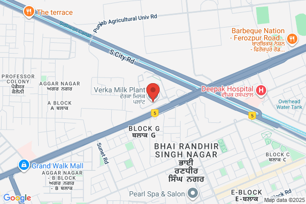 Sandeep Verka Dealer