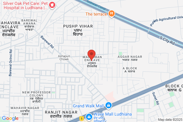 Bansal Speciality Dental Clinic