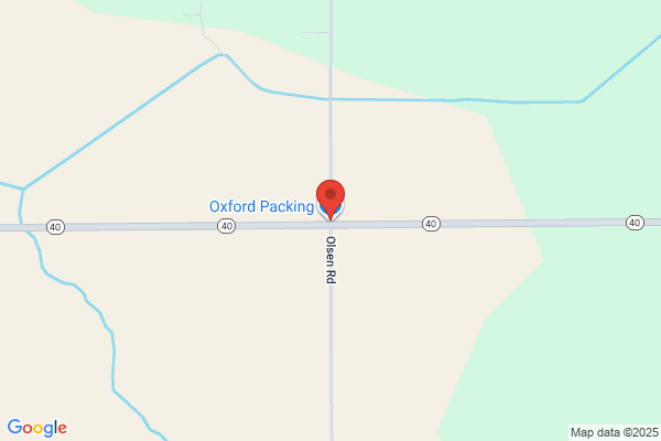 Oxford Processors