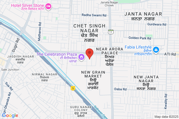 D Nagpal & Sons