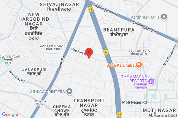 Delhi Pub Goods Carrier