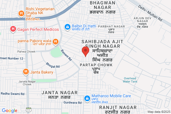 Amar Singh & Sons