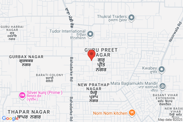 Shree Enterprises India P Ltd