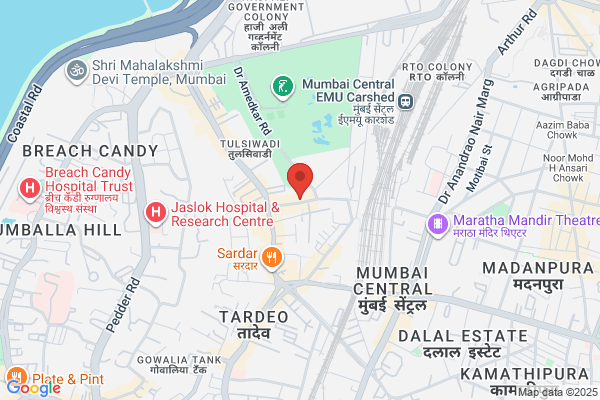 Finance Chief Accountant