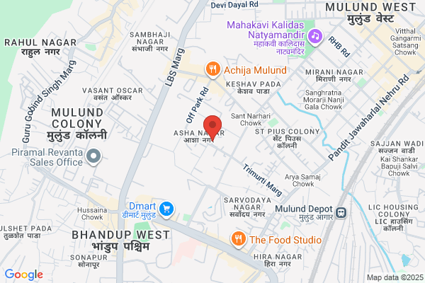 MAHAMAYA AVTG. MKG. SERVICES PVT LTD
