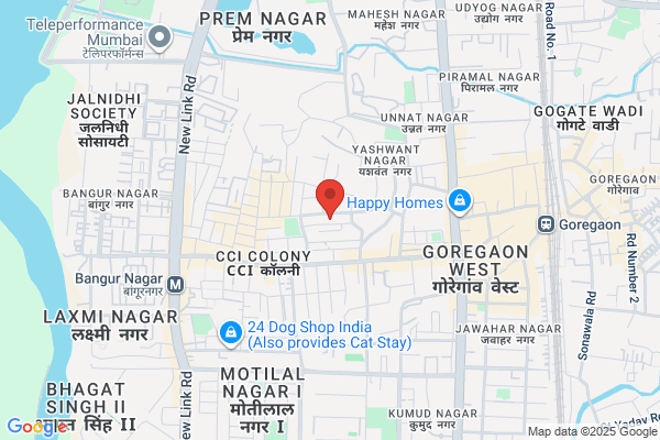 Disha Enterprises