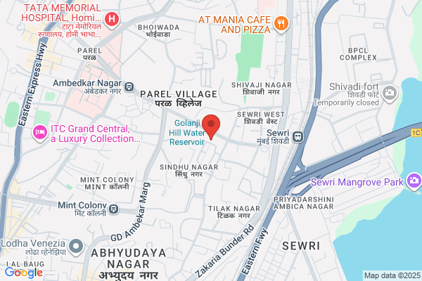 Manhas Auto Services