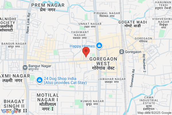 Rego Advt Service