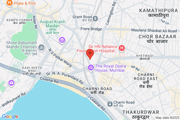 VIJAY AUTOMOBILES (INDIA)