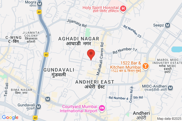Aravli Chemical P Ltd