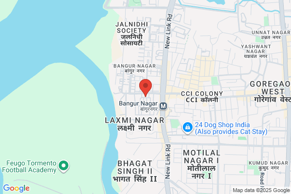 Shri Sai Stores