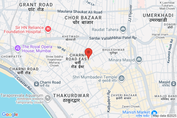 Satyam Alloys P L