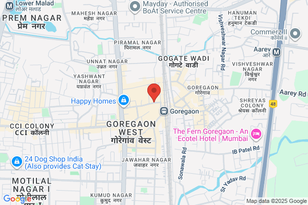 Qamar & Sons Delhiwala