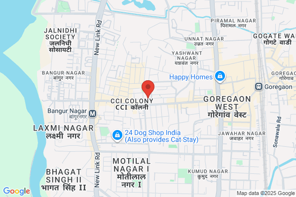 Studio Ragini